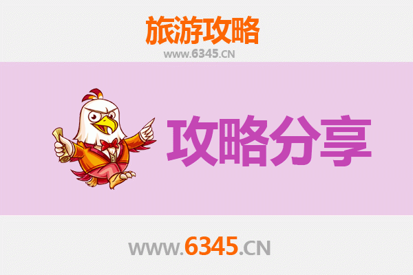 长春绿园至湄洲岛旅游攻略：跟团还是自由行深度解析